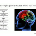 Autism - What We Know (and What We Don't Know Yet) - Wendy Chung